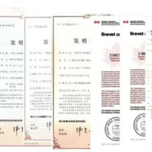 山東AG廳創(chuàng)園生物科技股份有限公司