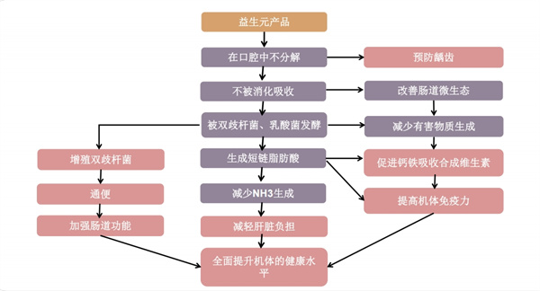 行業(yè)變革之際，AG廳創(chuàng)園益生元嶄露頭角
