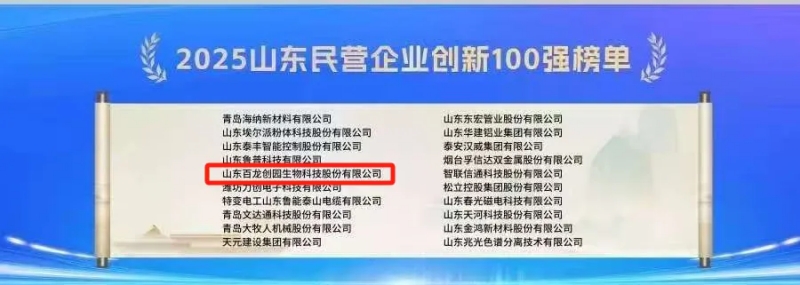 喜報丨AG廳創園入選2025山東民營企業100強